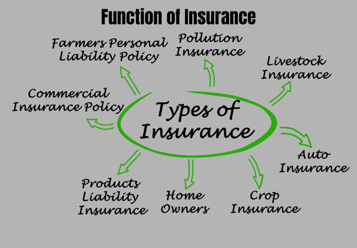 function of insurance